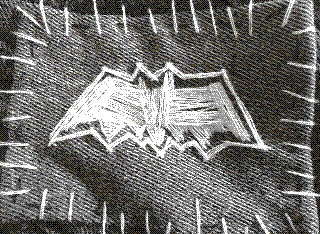 bat patch